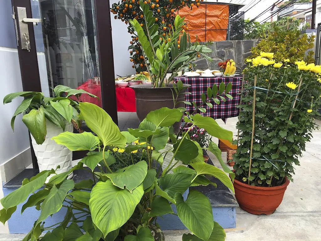 Green House Homestay Hoi An Vietnam
