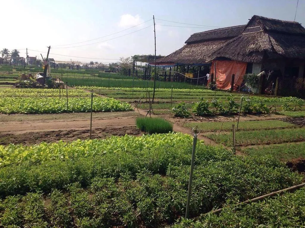 Green House Homestay Hoi An 0*,